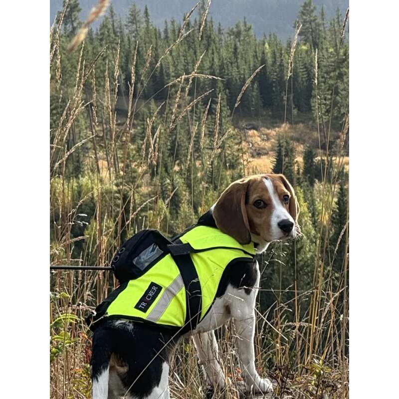 Tracker Luoto hundevest m/Flyteelement